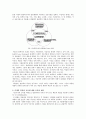 박물관의 관람객들의 특성과  박물관에서의 행동 6페이지