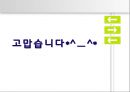 부정부패와 공직윤리 17페이지