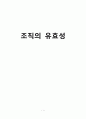 [간호학] 조직의 유효성 1페이지
