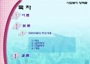 사회복지 정책론 - 국민연금 17페이지