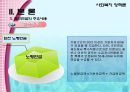 사회복지 정책론 - 국민연금 41페이지