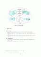 사회체계 관련 이론 20페이지