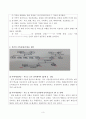 자신의 가계도를 완성해보고 분석해보시오 3페이지