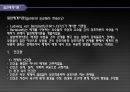 인간행동과 사회환경 - 사회체계 이론 18페이지