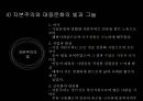 자본주의 체제하의 인간과 대중문화 19페이지