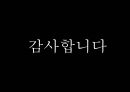 자본주의 체제하의 인간과 대중문화 23페이지