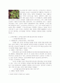식물의학)1  돌발해충 및 생태계 교란잡초에 대하여 기술하라 4페이지