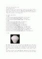 도자기 박물관 견학후기 15페이지