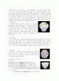 도자기 박물관 견학후기 17페이지