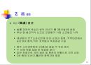 중국 위진의 역사 13페이지