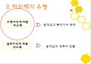 체육교육 - 피드백 제공하기 4페이지