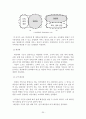 체인레스토랑 경영 20페이지