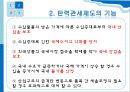 탄력관세제도 - 의의 기능 종류 결론 4페이지