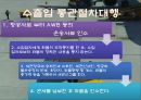항공운송인과 항공운송사업 10페이지