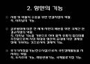 항만 - 정의 기능 운송사업 구역 컨테이너 터미널 4페이지