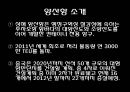 항만 - 정의 기능 운송사업 구역 컨테이너 터미널 20페이지