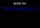 항만 - 정의 기능 운송사업 구역 컨테이너 터미널 24페이지
