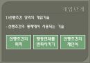 행동주의 모델 13페이지