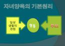 행동수정 이론 6페이지