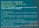 행동수정 이론 13페이지