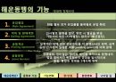 해운동맹 - 화물운송론 8페이지