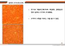 구리 열간 압연 40페이지
