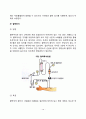 [신장질환 식이요법] 신장질환(신증후군 급성신부전 및 만성신부전 혈액투석 지속성 복막투석 신결석증)의 원인과 증상 및 치료를 위한 식사요법 10페이지
