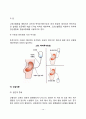 [신장질환 식이요법] 신장질환(신증후군 급성신부전 및 만성신부전 혈액투석 지속성 복막투석 신결석증)의 원인과 증상 및 치료를 위한 식사요법 14페이지