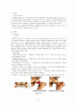정형외과실습 대퇴경부 대퇴골 골절 케이스 스터디 femur neck fx fracture case study 3페이지