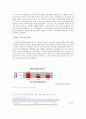 [경영윤리] 윤리적 기업에 대한 논의 -탐스와 나이키의 사례를 중심으로- [탐스 소개 탐스 착한 경영 탐스 비판 탐스 윤리 구매 나이키 노동착취문제] 9페이지