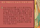 부동산 시장의 외부효과 20페이지