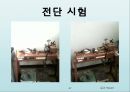 토질실험 결과레포트 47페이지