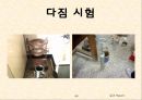 토질실험 결과레포트 66페이지