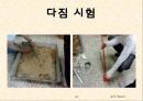 토질실험 결과레포트 67페이지