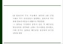 [베트남전쟁 연구 PPT] 베트남전쟁 발발원인과 한국에 미친영향분석및 베트남전쟁 긍정부정적측면 연구및 나의생각 26페이지