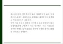 [베트남전쟁 연구 PPT] 베트남전쟁 발발원인과 한국에 미친영향분석및 베트남전쟁 긍정부정적측면 연구및 나의생각 30페이지