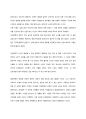 세종은 과연 성군인가 2페이지