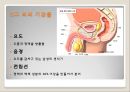 여성의 몸과 마음 8페이지