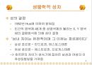남녀의 성차 4페이지