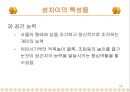 남녀의 성차 14페이지