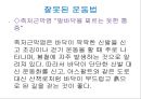 프로스펙스 마케팅전략 27페이지