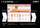 경영분석 한화케미칼 vs OCI 폴리실리콘산업 15페이지