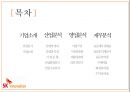 sk이노베이션 vs LG화학 경영분석 2페이지