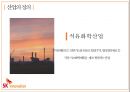 sk이노베이션 vs LG화학 경영분석 8페이지