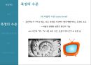 매스컴 연구방법론과학적 연구 과정연구의 목표연구가설설정연구설계측정방법 결정자료수집수집자료분석연구결과 일반화 53페이지
