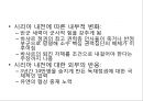 시리아 내전의 배경    35페이지