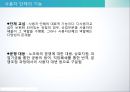 사용자와 사용자 단체한국 사용자 단체의 조직과 활동경영자의 노사관계 전략경영자의  목표와 전략사용자와 개별사용자 12페이지