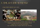 죽음에 대한 인식종교별 죽음의 문화장례묘지 문화-동서양 비교현대의 죽음존엄사안락사 23페이지