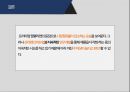 농심 기업분석 19페이지