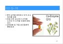 탈모증 대응요법의 이해 27페이지